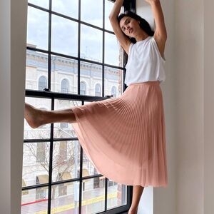 NWOT Aritzia Twirl Pleated Skirt